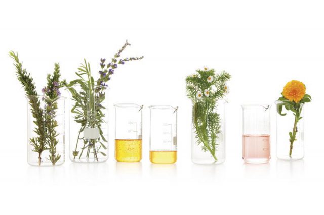 Bio-Oil_photography_Plants_and_oils_in_beakers_low_res